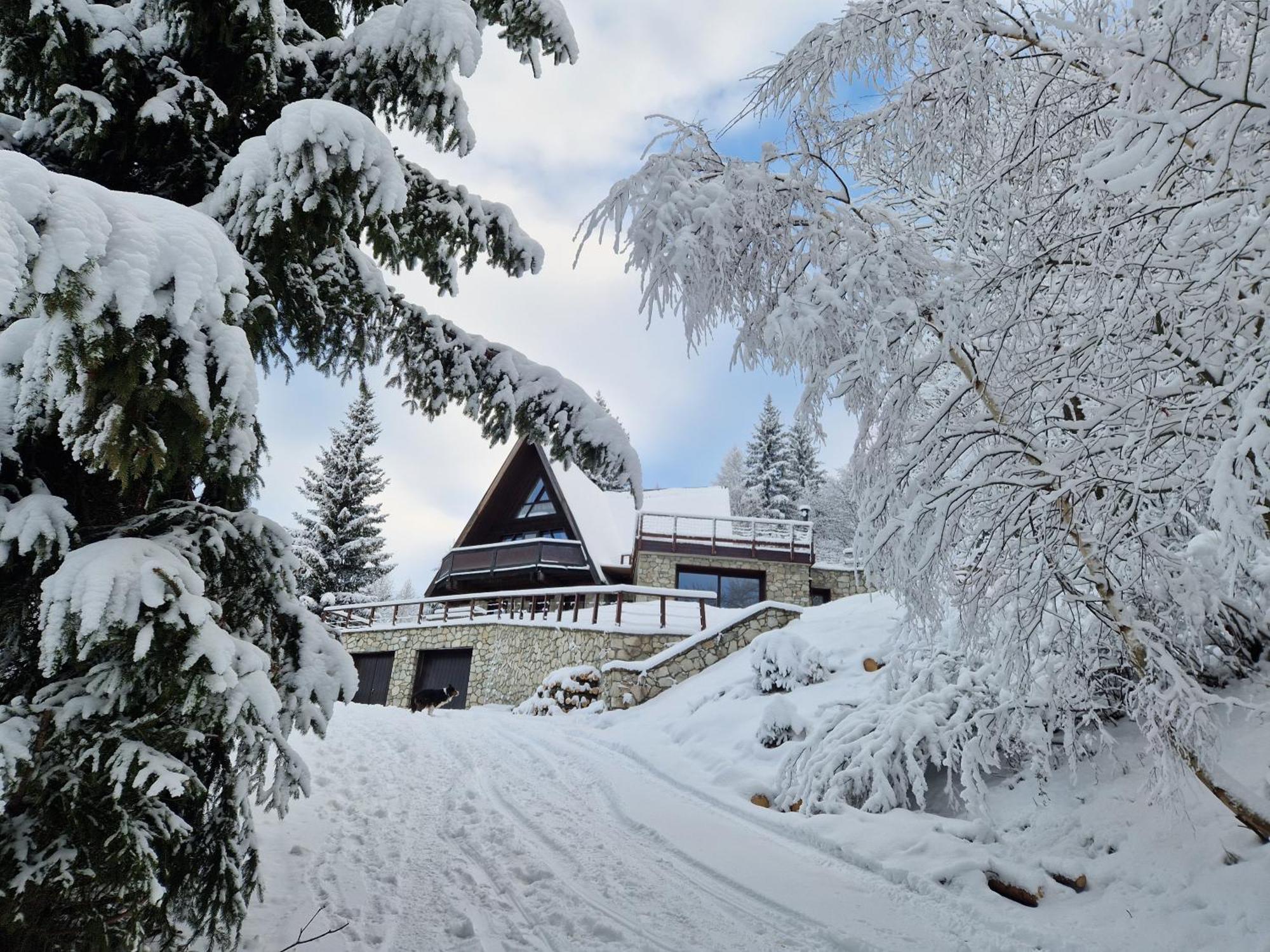 Le Chalet Pointu De Capucine Bourg-Saint-Maurice Esterno foto